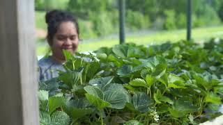 Doyles Country Gardens- Barrera Family