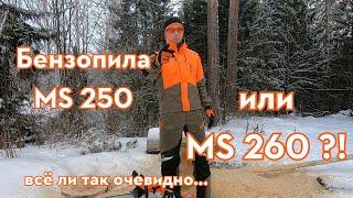 Бензопила STIHL MS 260. Обзор, сравнение и отличие от MS 250