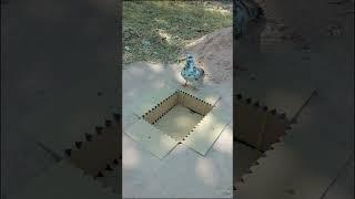 Easy Underground Bird Trap - Best Pigeon Trap #shorts #youtubeshorts