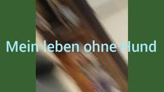 Mein Leben ohne/mit Hund