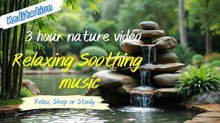 Relaxing Soothing Music | Relax, Sleep, or Study" 3 hour nature video #relaxing #soothing #music