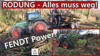 RODUNG - Alles muss weg! Fendt 312 Vario und Fendt Favorit 511C im Einsatz! Rückewagen, Seilwinde