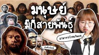 มนุษย์มีกี่สายพันธุ์? | Point of View