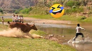 TRY NOT TO LAUGH  Best Funny Videos Compilation  Memes PART 228