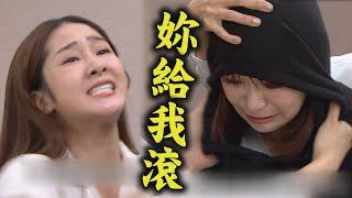 【願望】EP232 詩涵良心不安來找冬雨...被痛扁一頓 廷偉不讓可欣礙事竟動粗打昏她｜完全娛樂