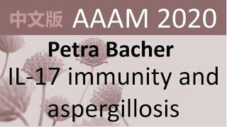 Petra Bacher - IL-17 immunity and aspergillosis