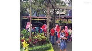 #vlog2 wisata di kampung anggrek. Wow anggreknya!!!