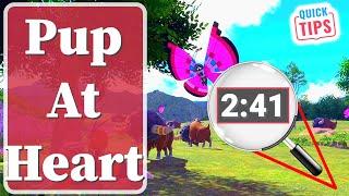 New Pokemon Snap - Pup At Heart - A Guide To Pup At Heart Request