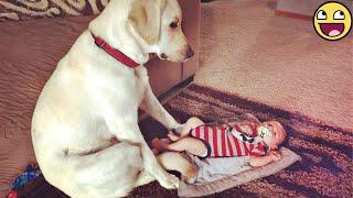  "The Cutest Friendship on the Internet – Babies & Puppies! "