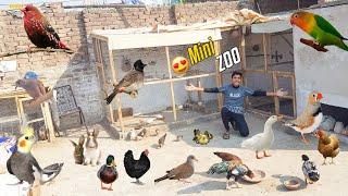 Hamara Mini Zoo 