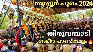 Thrissur Pooram 2024 | Thiruvambadi Desam Pandi Melam| Cheranalloor Sankarankutty Marar