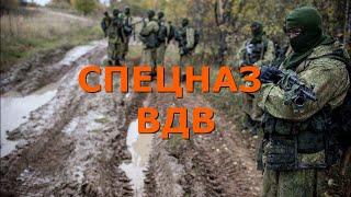 Спецназ ВДВ. 45-я гвардейская отдельная бригада спецназа ВДВ.