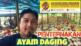 PENTERNAKAN AYAM DAGING: A SUCCESS STORY