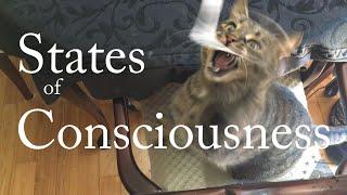 Thoughts: States of Consciousness