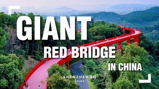 Giant Bridge in China at Red Bridge Park in Shenzhen [Hongqiao Park]