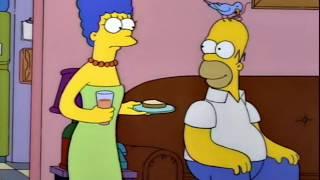 S05E17 - Homer's Grooming Bird