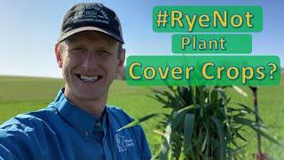 #RyeNot Plant Cover Crops?