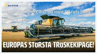 Europas största tröskekipage! | New Holland CR10.90 med 50 fots bord #newholland #cr1090 #honeybee