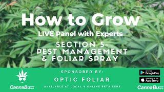 Cannabis Pest Management & Foliar Spray Tips - CannaBuzz LIVE