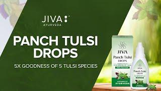 Benefits of Panch Tulsi Drops | Jiva Ayurveda