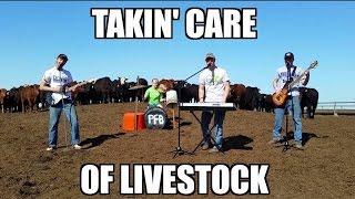 Takin' Care of Livestock - (Takin' Care of Business Parody)