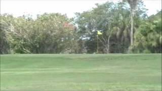 Mark Wood Golf (shot onto green)