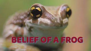 BELIEF OF A FROG - A quick story about never giving up even when the game is up