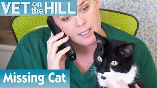  Tracking Down A Missing Cat Owner | FULL EPISODE | S01E04 | Vet On The Hill