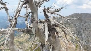 KUČKE PLANINE Katun Kastrat - vrh Šila