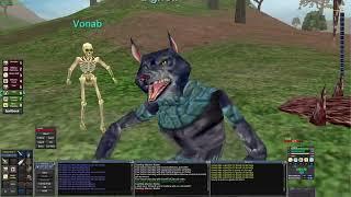 Human Necro in Classic Everquest part 4