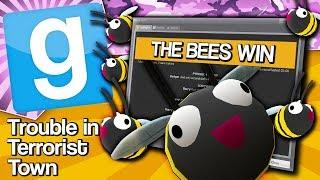 BEES WIN | Gmod TTT