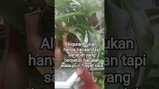 #quotes #motivation #katabijakkehidupan #motivasihidup #love #alquran