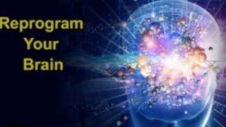 UNDERSTANDING How to REPROGRAM YOUR BRAIN