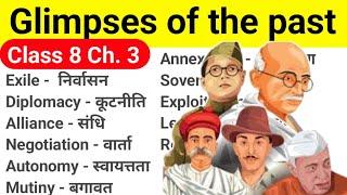 Glimpses of the past class 8 | Class 8 english chapter 3 | Glimpses of the past word meaning