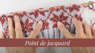 Jacquard stitch |  Bergère de France