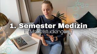 1. Semester Medizin (Modellstudiengang) | Aufbau, Inhalte, Prüfungen & persönliche Erfahrungen!