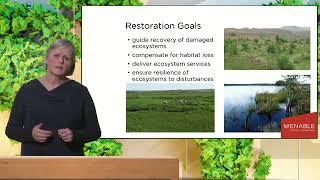 What is Ecological Restoration