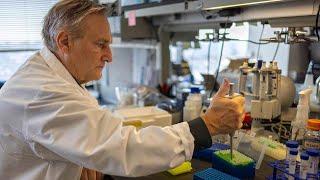 New Scientific Institute in NY to Engineer Immune Cells | CZI, Columbia, Rockefeller and Yale