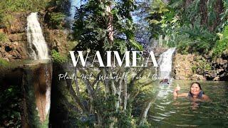 WAIMEA VALLEY & FALLS in North Shore, Hawaii: Tropical Plants, Hiking, Swimming at the waterfall