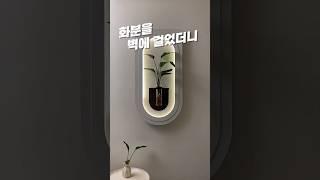 이 화분 감성 미쳤다 #방꾸미기 #인테리어 #집꾸미기 #화분 #액자