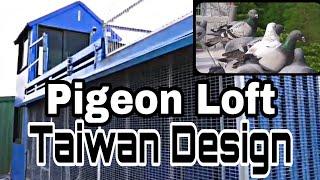 Pigeon Loft Taiwan Design | Racing Pigeon Loft | Pigeon Loft Design | Pigeon Loft