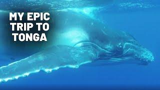 My Epic Trip To Tonga | Ryan Wilkes | @itsryanwilkes