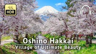 Oshino Hakkai - Village of Ultimate Beauty: Mt. Fuji, Cherry Blossoms & Crystal-Clear Water