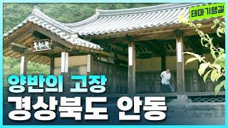 양반의 고장 경북 안동 여행 [테마기행길]