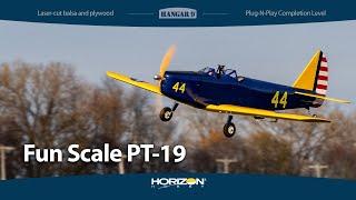 Hangar 9 Fun Scale PT-19 PNP