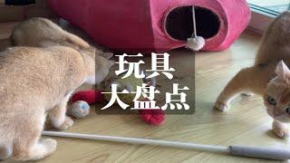 猫咪玩具大盘点，分享几个我家猫咪爱玩儿的玩具