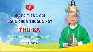 VIDEO TIẾNG GỌI LÒNG CHÚA THƯƠNG XÓT | 06/08/2024