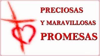 Preciosas y Maravillosas Promesas