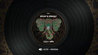 Acin - Wanna - Original Mix