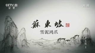 纪录片《苏东坡》6集 第一集：雪泥鸿爪